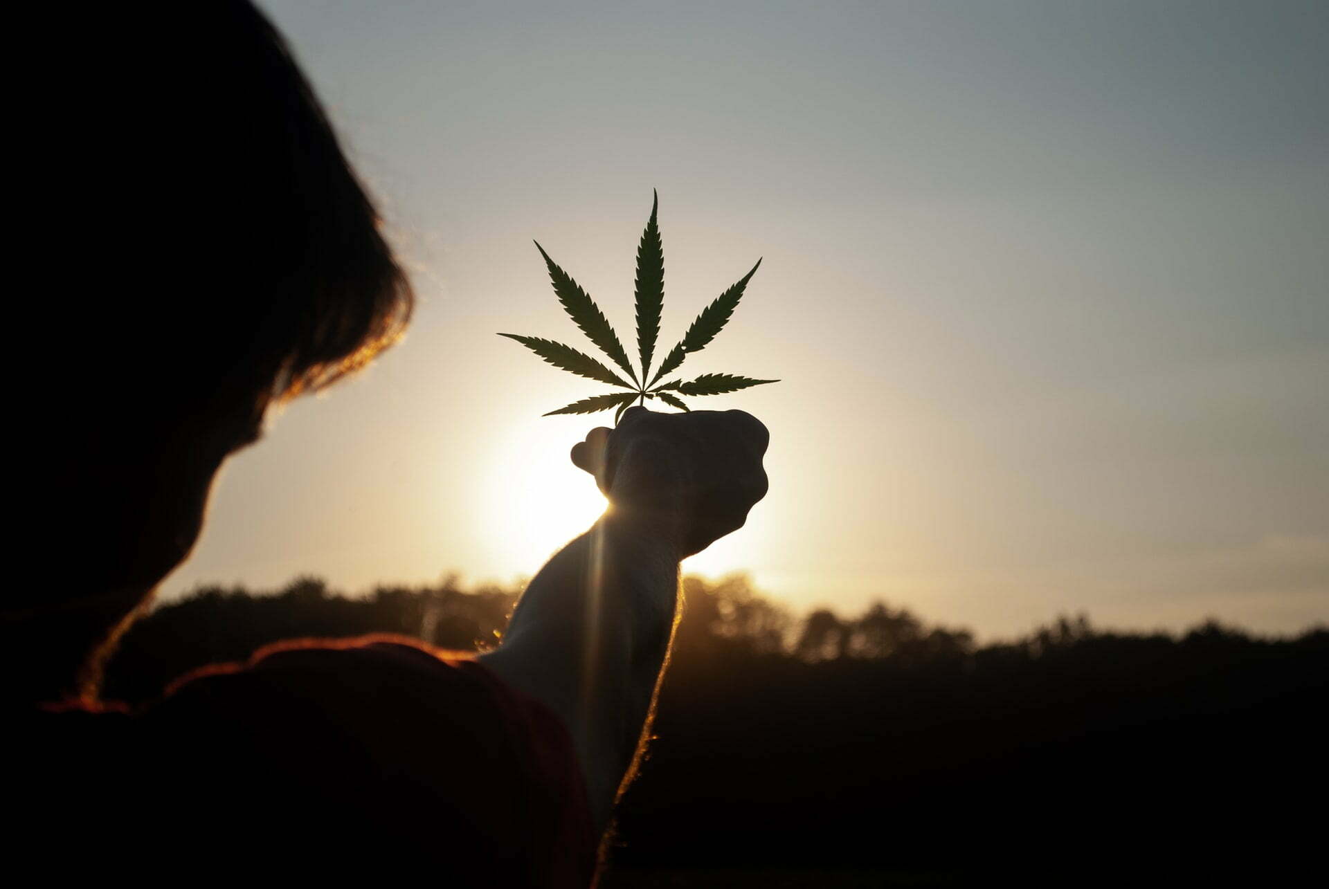 a person holding a flower